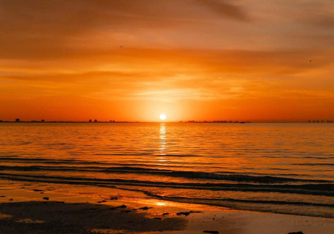 Vitamin D, the magic from the sun