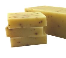 Eucalyptus Aloe Cold Process, Handmade Soap