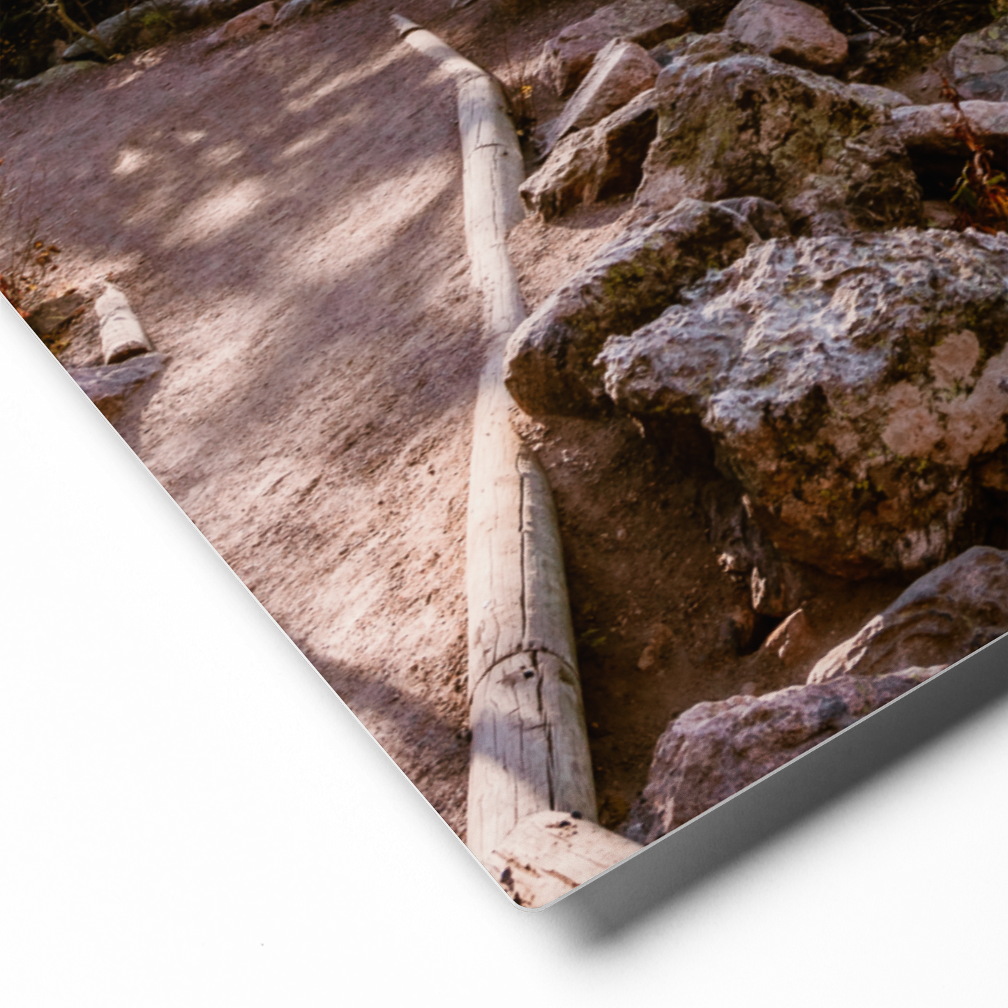 Rocky Mountain Lake Trail Metal Print | Fine Art Nature Wall Art