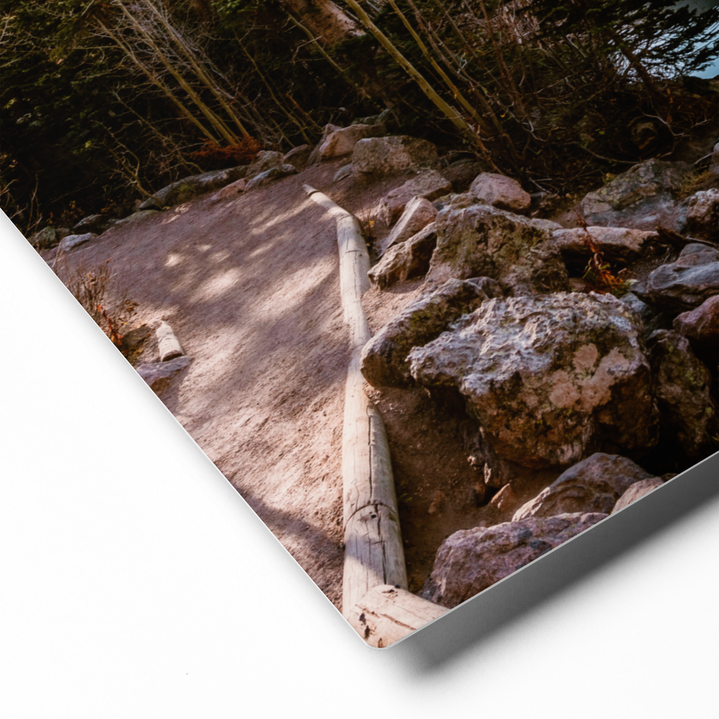 Rocky Mountain Lake Trail Metal Print | Fine Art Nature Wall Art